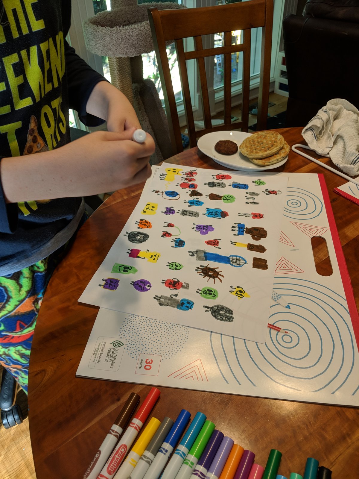 Drawing With My Crayola Markers