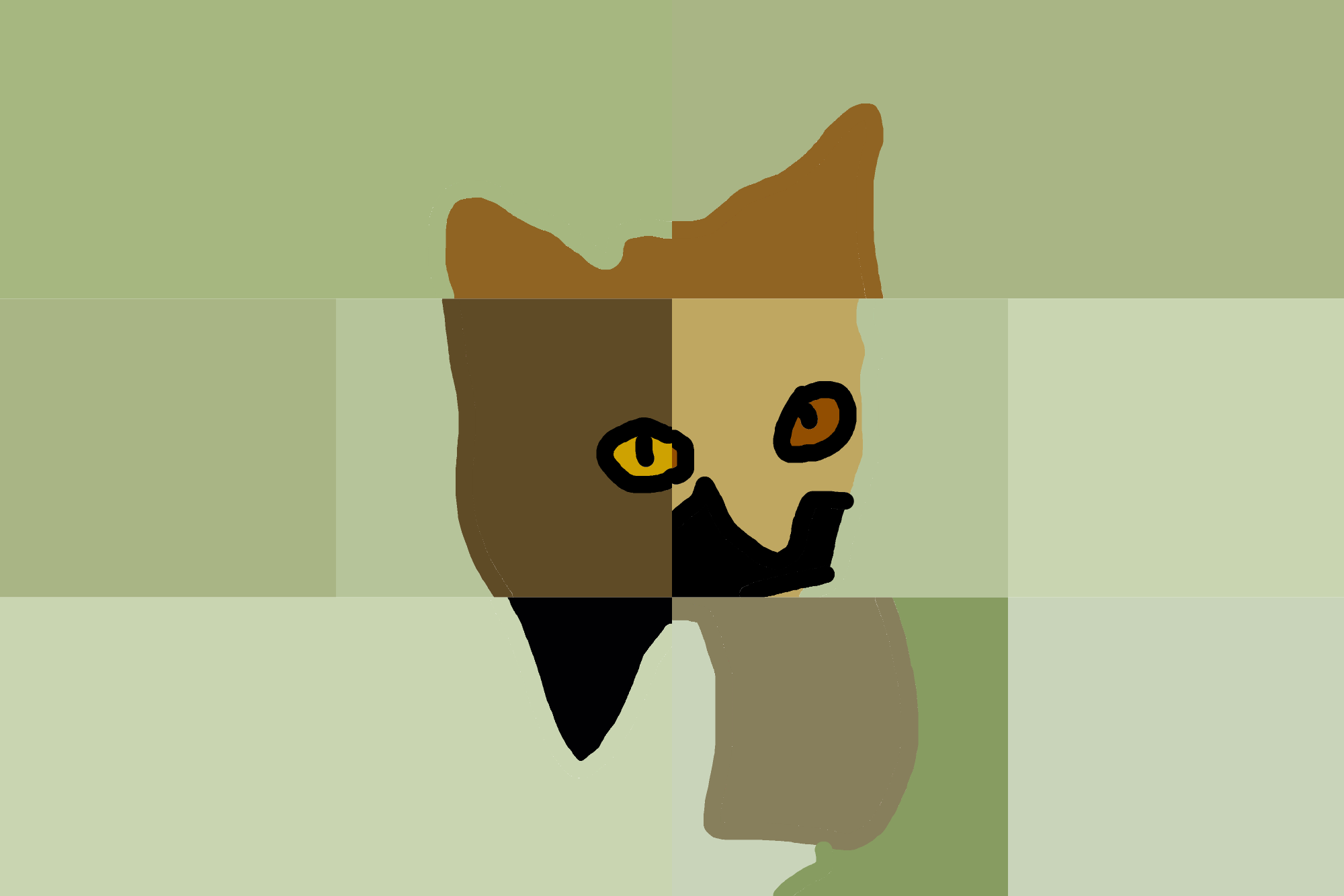 Feline Fragmentation