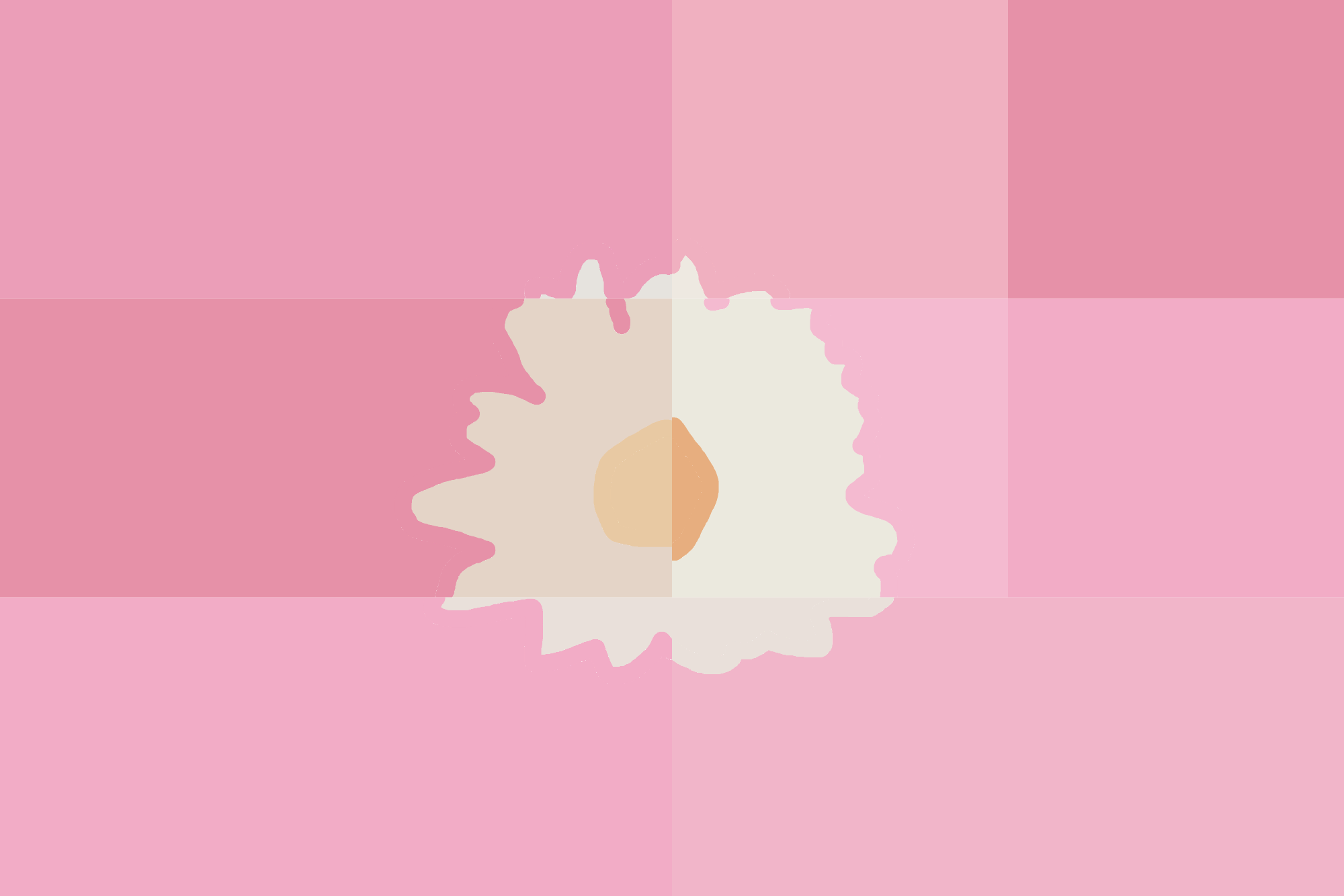 Blossoming Pink Eclipse