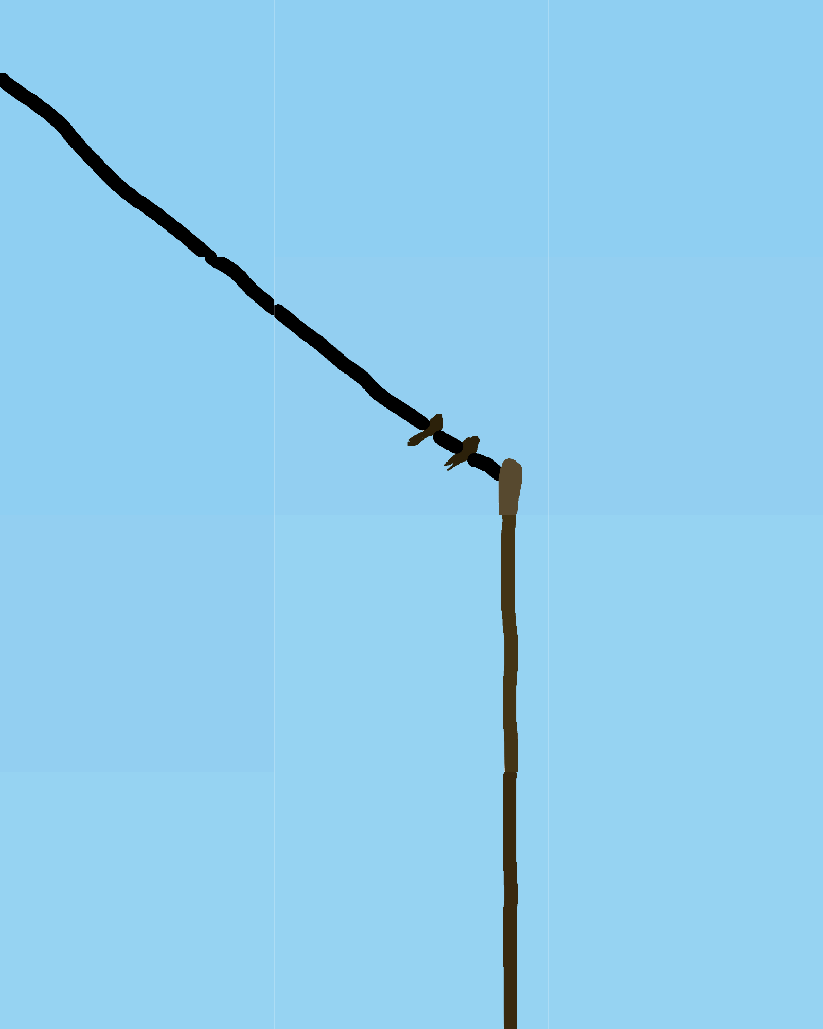 A Moment of Perch