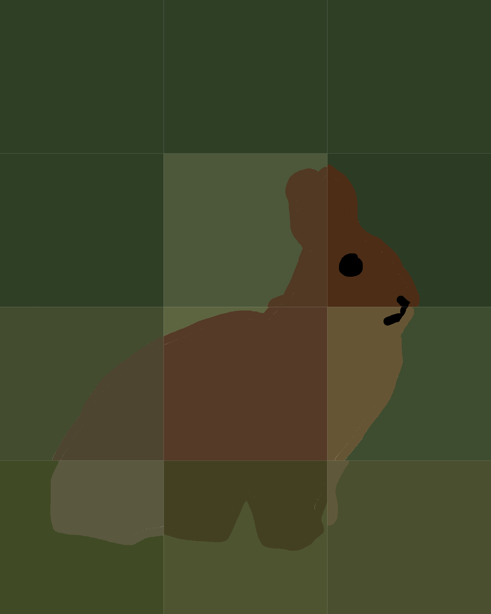 Silhouette of Tranquility