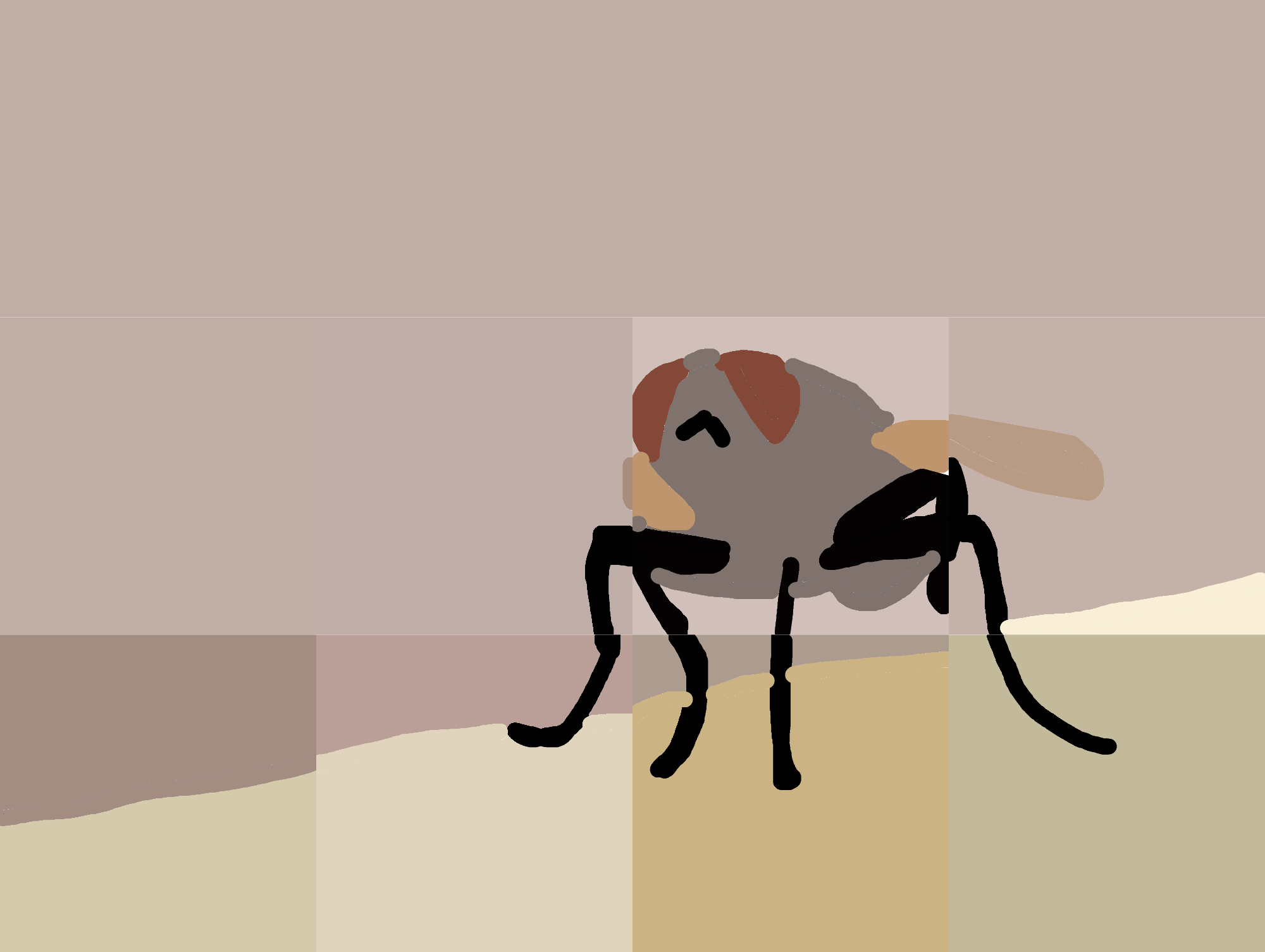 fly