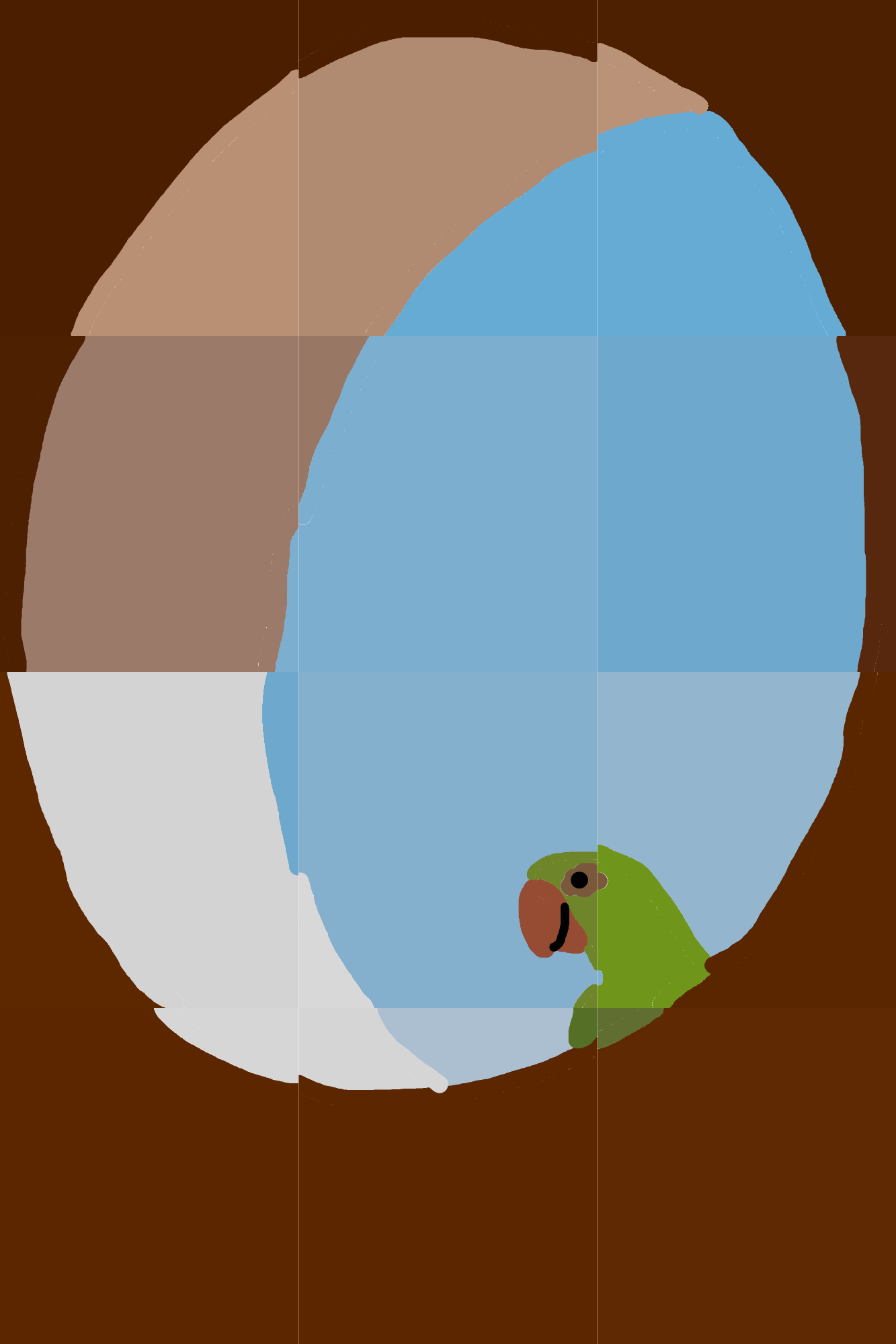 Parrot's Peek