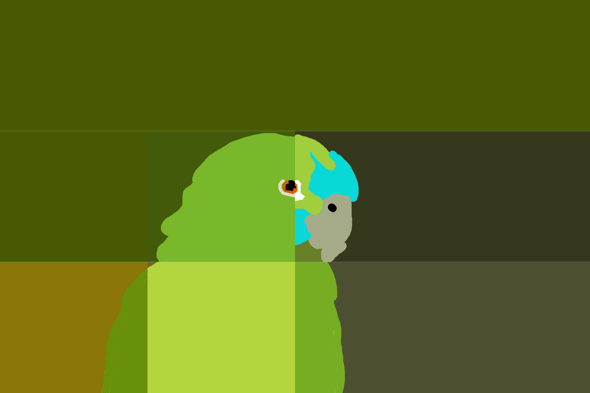 Geometric Parrot Harmony