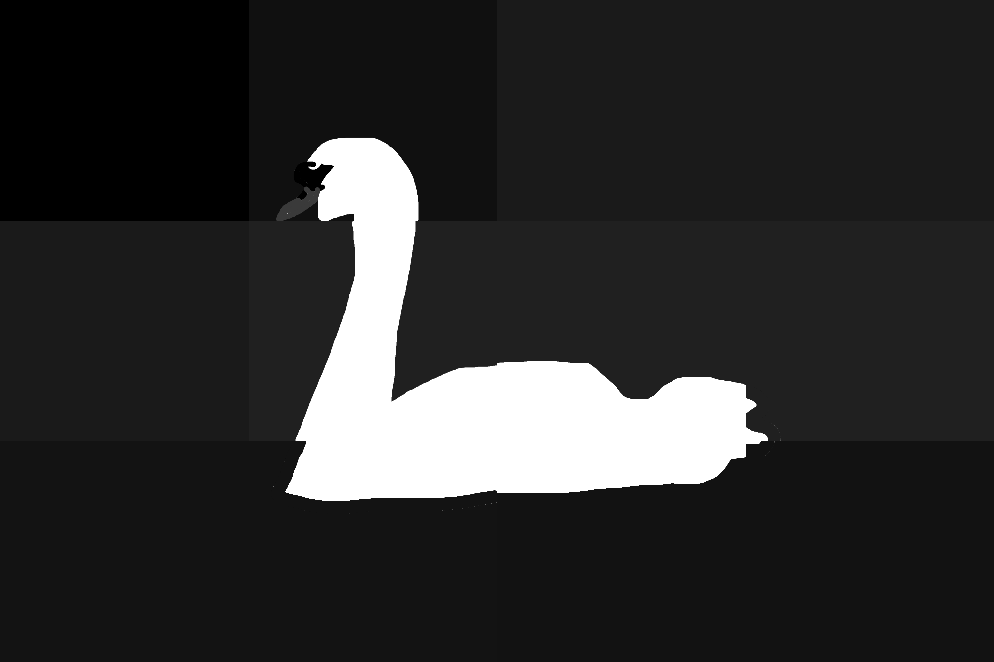 Swann