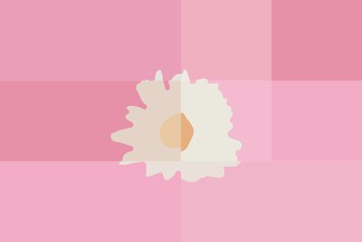 Blossoming Pink Eclipse