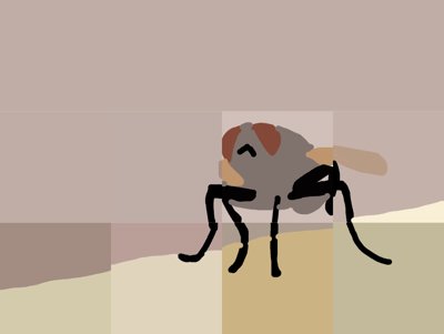 fly