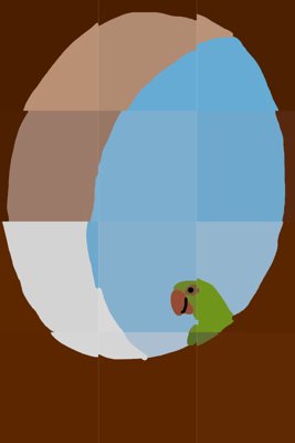 Parrot's Peek