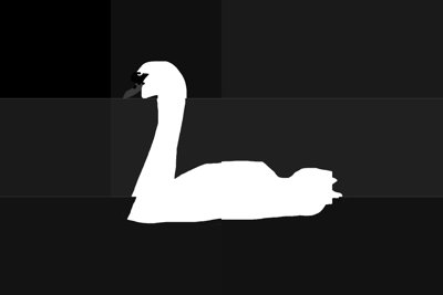 Swann